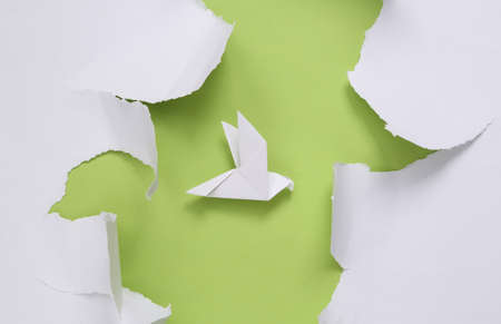 Origami rabbit on green background with white torn paper. concept art. minimalism. top viewの写真素材