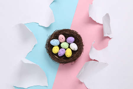 Easter composition from the nest with colored eggs on blue-pink background with torn paper. concept...
