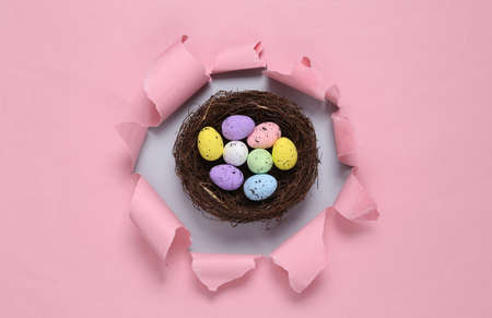 Nest with colored Easter eggs through the ripped hole of pink paperの写真素材