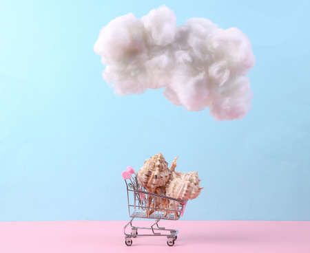 Shopping trlley with seashell, floating fluffy cloud on blue pink pastel background. concept art....