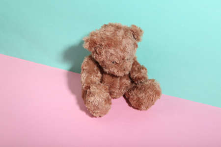 Teddy bear on blue-pink background. minimalism. trendy shadow. creative layoutの写真素材