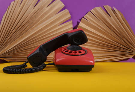 Creative still life with retro rotary telephone and dry palm leavesの写真素材