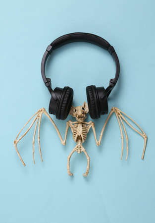 Bat skeleton and headphones on blue backgroundの写真素材