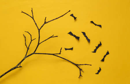 Creative Halloween layout. Tree branch and flying bats on yellow background. flat layの写真素材