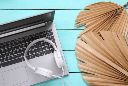 Laptop and Stereo headphones with dry palm leaves on blue wooden background. top view. minimalist...