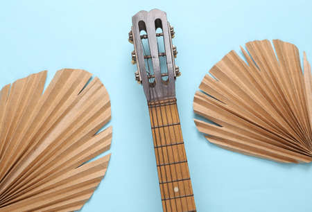 Acoustic guitar and tropical dry palm leaves on blue background