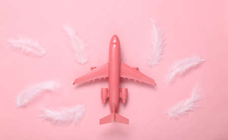 Minimal travel layout. Pink plane and feathers on pink background. flat lay. top viewの写真素材