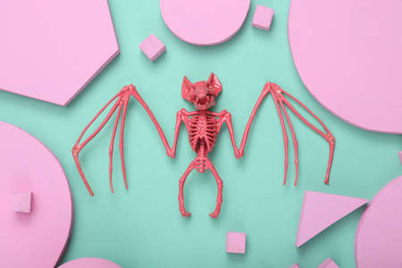 creative halloween layout. Pink skeleton bat with pink different geometric shapes on mint blue background. Pastel color trend. minimalism. concept art. fresh ideas. flat lay. top view.の写真素材