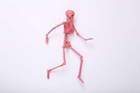 creative layout. Pink skeleton on white background. minimalism. concept art. Modern still life. flat lay. top view.の写真素材