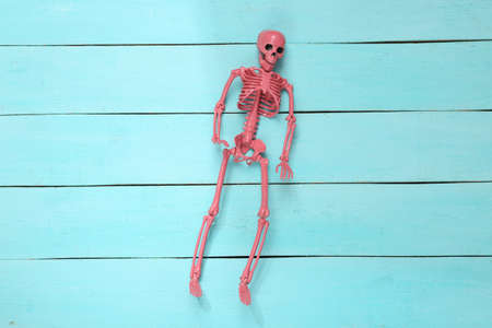 Pink skeleton on blue wooden background. minimalism. top view. flat lay