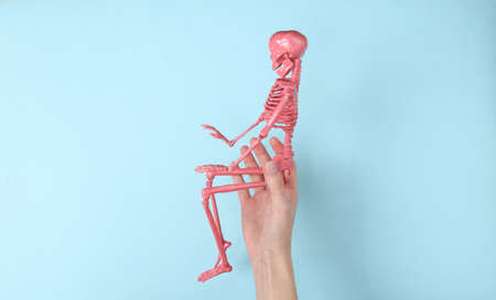 Hand holds pink skeleton on blue backgroundの写真素材