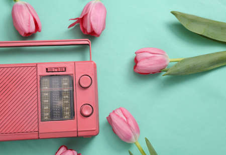 Pink tulips with fm radio on blue background. Romantic, music, love concept. flat layの写真素材