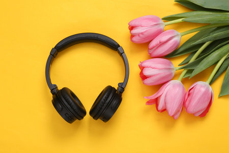 Pink tulips with headphones on yellow background. Romantic, music, love conceptの写真素材
