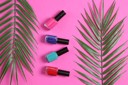 Bottles of nail polish and palm leaves on pink background. beauty still life. top view. flat layの写真素材