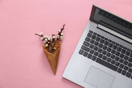 Laptop, Waffle cone with beautiful white flowering branches on pink background. springtime concept....