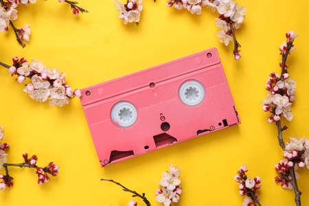 Video cassette with beautiful flowering branches on yellow background. springtime concept. Flat lay, top viewの写真素材