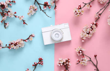 White camera with beautiful flowering branches on pink blue background. minimal concept. Flat lay, top viewの写真素材
