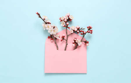 Envelope with beautiful flowering branches on blue background. Flat lay, top view.の写真素材