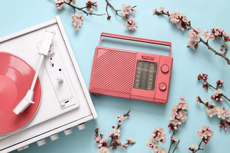 Retro vinyl record player and fm radio with beautiful white flowering branches on blue pastel...