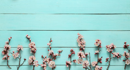 Beautiful pink flowering branches on blue wooden background. springtime concept. Flat lay, top viewの写真素材