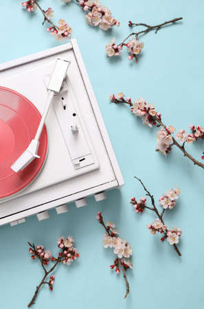Retro vinyl record player with beautiful white flowering branches on blue pastel background. Springtime, minimal music concept. Flat lay, top viewの写真素材