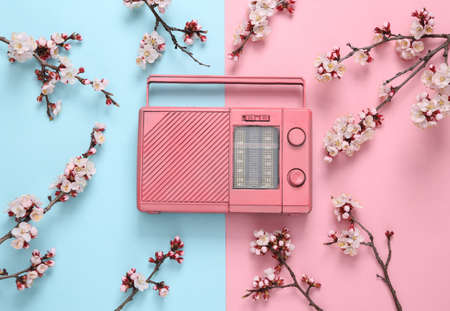 Retro fm radio with beautiful white flowering branches on pink blue background. Springtime, music concept. Flat lay, top viewの写真素材