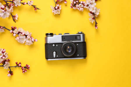 Retro Camera with beautiful pink flowering branches on yellow background. springtime concept. Flat lay, top viewの写真素材