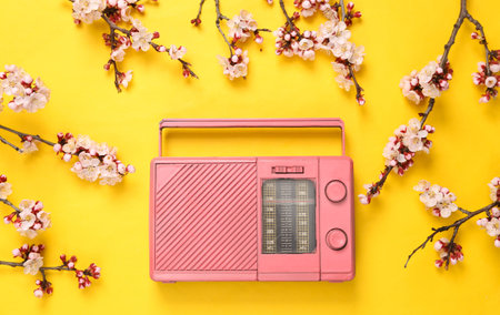 Retro pink fm radio with beautiful flowering branches on yellow background. Springtime, music...