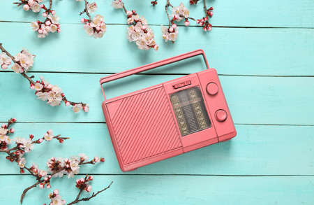 Fm radio and Beautiful pink flowering branches on blue wooden background. Springtime, music concept. Flat lay, top viewの写真素材