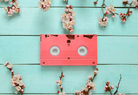 Video cassette and Beautiful pink flowering branches on blue wooden background. springtime concept. Flat lay, top viewの写真素材