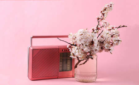 Fm radio and Beautiful flowering branches in glass jar on a pink background.の写真素材