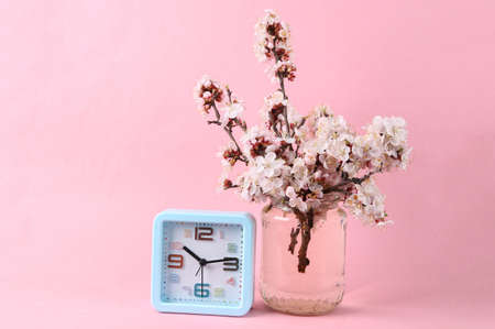 Alarm clock and Beautiful flowering branches in glass jar on pink background.