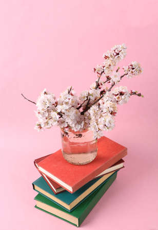 Books and Beautiful flowering branches in a glass jar on a pink background.
