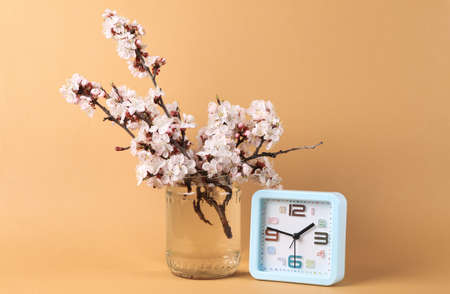 Alarm clock and Beautiful flowering branches in glass jar on orange background.の写真素材