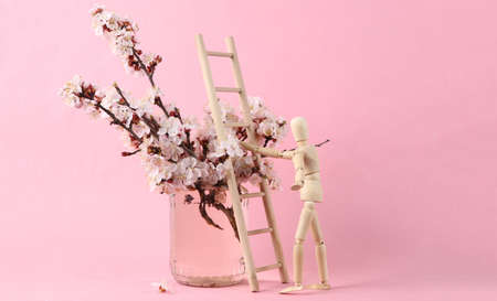Wooden puppet climbs the stairs and Beautiful flowering branches in glass jar on pink background.の写真素材