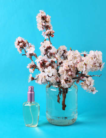 Perfume bottle and Beautiful flowering branches in glass jar on blue background.の写真素材