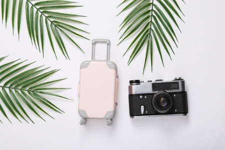 Toy luggage and camera, palm green leaves on white background. travel concept. tropical composition....