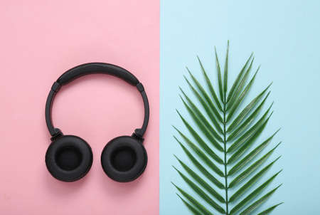 Headphones and palm green leaf on pink blue background. music concept. tropical composition. top view. flat layの写真素材