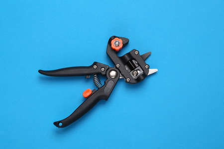 Grafting pruner for plants on a blue backgroundの写真素材