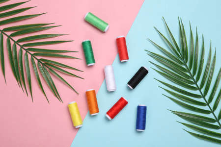 Skeins of colored thread with palm leaves on blue-pink pastel background