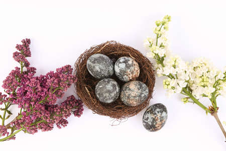 Gray marble painted Easter eggs in nest and Blooming lilacs on white background