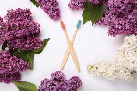 Eco bamboo toothbrushes with branches of blooming lilacs on white background. Spring, eco concept....