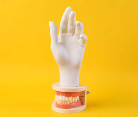 Model of human jaw with white teeth and white hand on yellow background. Minimal concept art