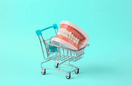 Anatomical model of a human jaw with teeth in a shopping cart on a blue background.の写真素材