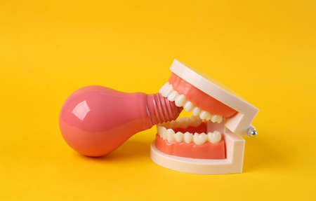 minimal idea concept. Jaw model with pink light bulb on yellow background. creative concept artの写真素材