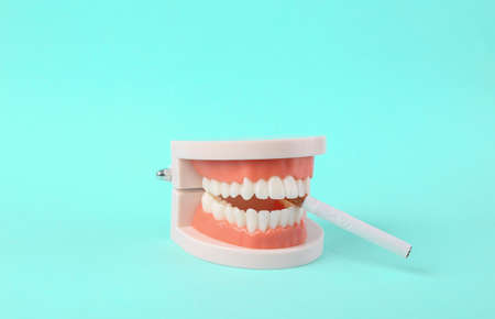 Bad habits, smoking. Human jaw model with cigarette on blue background