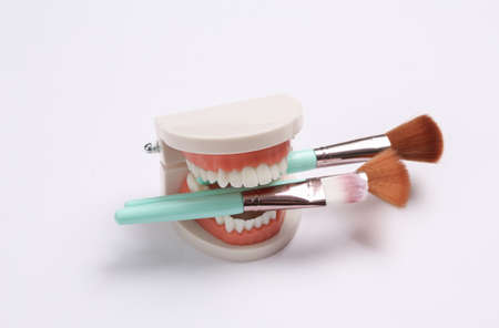 Makeup brushes in teeth of jaw model. white background. beauty minimal concept. creative layoutの写真素材