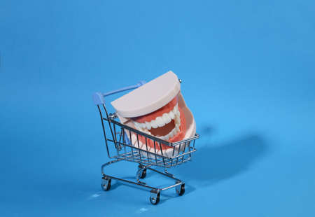 Anatomical model of a human jaw with teeth in a shopping cart on a blue bright background.