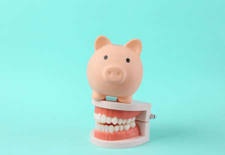 Plastic model of a human jaw with piggy bank on blue background