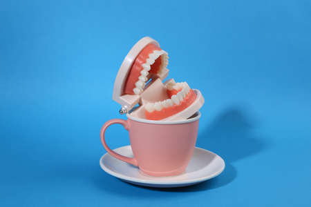 Plastic model of a human jaw on cup. blue background